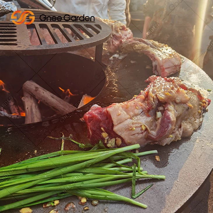 GN-BBQ-209-D 55 GN-BBQ-209-D 55